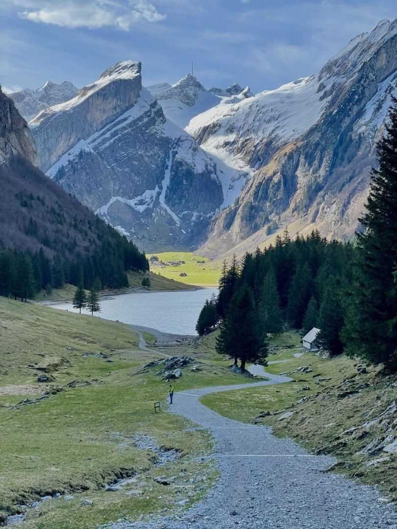 Psicóloga trabajando durante una sesión de terapia online
